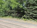 1 Lots 1-7 Butler Road Road, Forest Home, NS 