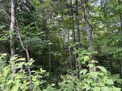 2 Lot 2 Butler Road Road  Forest Home, NS B4N 3V8