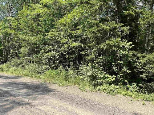 5 Lots 1-7 Butler Road Road, Forest Home, NS 