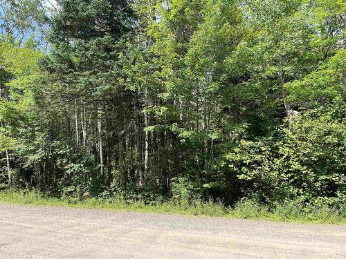 7 Lots 1-7 Butler Road Road, Forest Home, NS 
