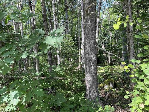 7 Lots 1-7 Butler Road Road, Forest Home, NS 