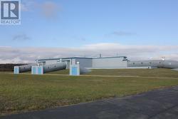 225 Carolina Avenue  Stephenville, NL A2N 2Y2