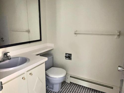 Salle de bains - 8 Rue Des Scouts, Notre-Dame-Du-Nord, QC - Indoor Photo Showing Bathroom