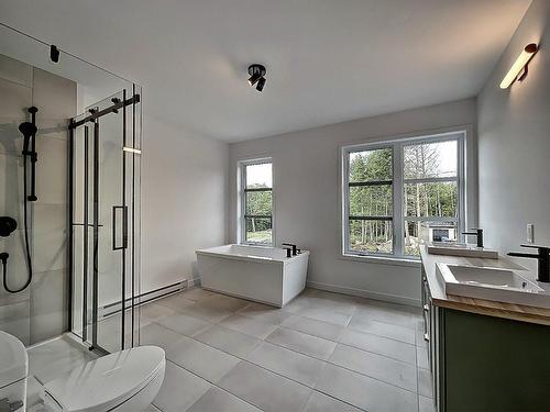 Salle de bains - 17 Rue Victor, Saint-Hippolyte, QC - Indoor Photo Showing Bathroom