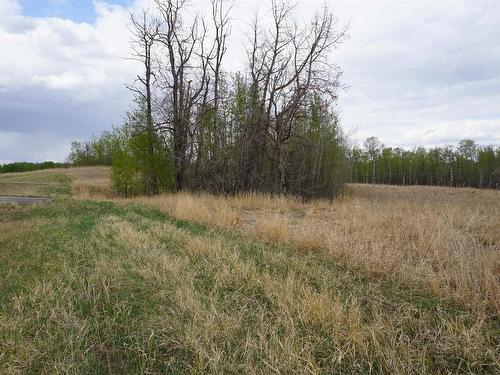 16 53214 Rge Rd 13, Rural Parkland County, AB 