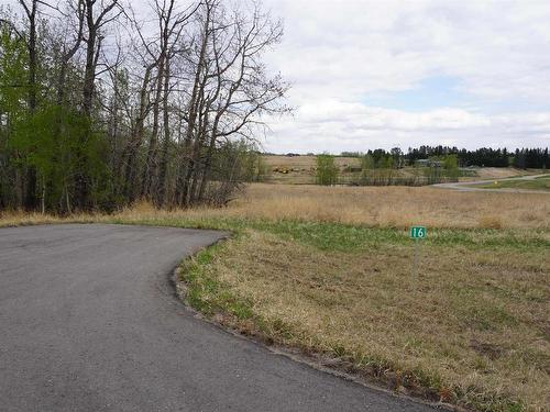 16 53214 Rge Rd 13, Rural Parkland County, AB 