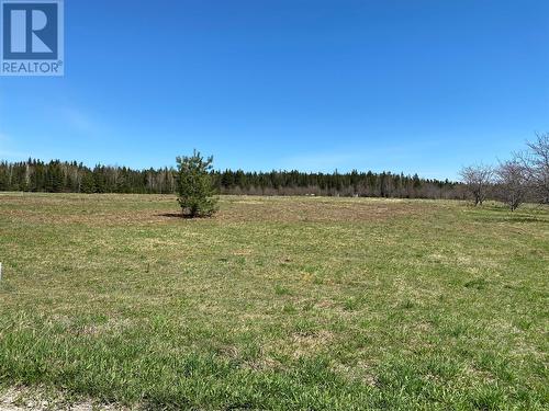 Lot 17 Upper Tranquil Waters Road, Reidville, NL 