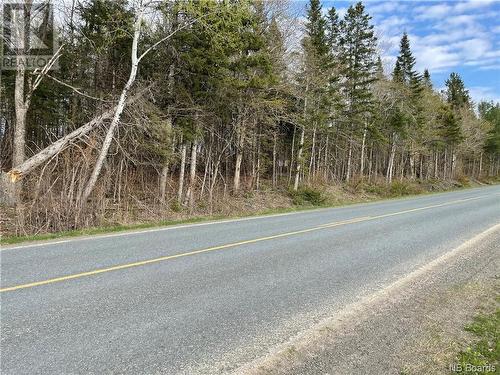 Lot Route 570, Bannon, NB 