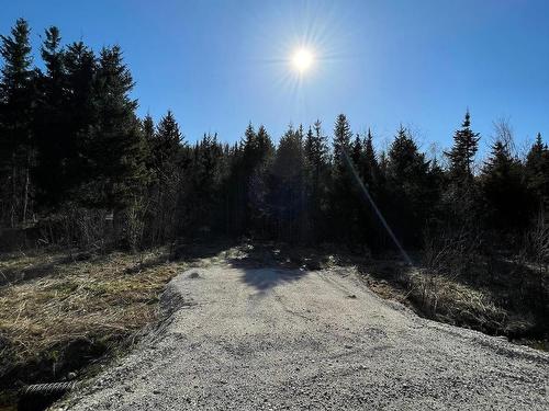 Terre/Terrain - Rue Des Montagnes, Saint-Urbain, QC 