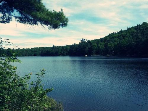 Vue d'ensemble - Ch. Blackburn, Val-Des-Monts, QC 