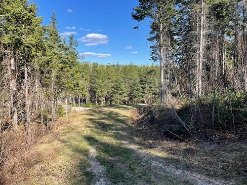 Land/Lot - Rue Du Boisé, Saint-Urbain, QC 