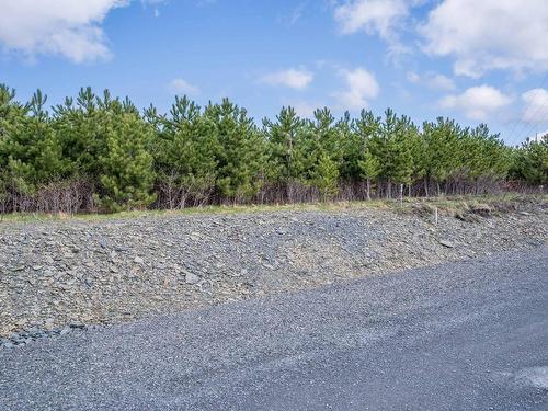 Land/Lot - Rue Gauthier, Saint-Théophile, QC 