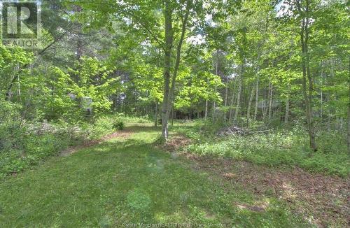 Lot Route 490, Fords Mills, NB - Outdoor