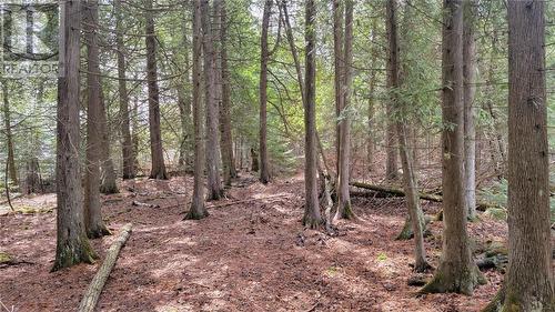 Lot 1 Sandy Point Rd, Assiginack, Manitoulin Island, ON 