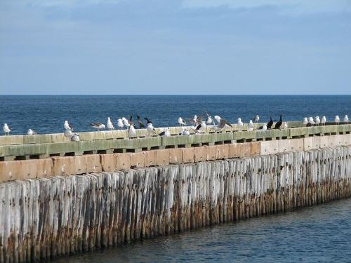 Lot 7 Shipwreck Lane, Naufrage, PE 