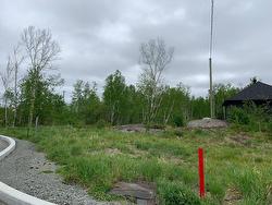 Land/Lot - 