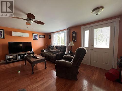 22 Church Road, Badger, NL - Indoor Photo Showing Living Room