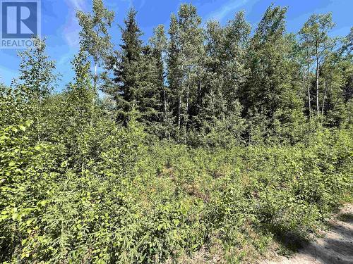 Lot 1 Charlie Frontage Road, Fraser Lake, BC 