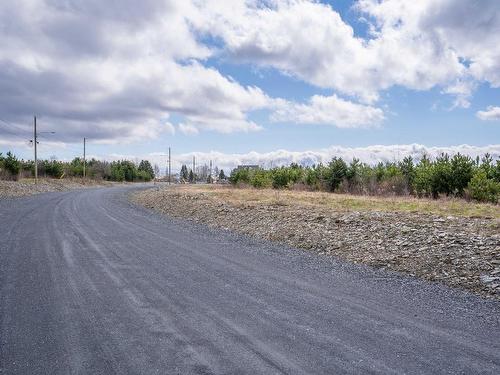 Land/Lot - Rue Gauthier, Saint-Théophile, QC 