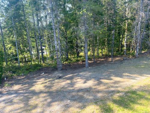 4071 Nimpkish Cres, Woss, BC - Outdoor With View