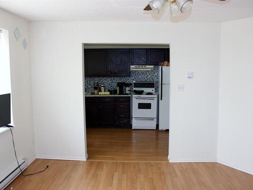 303 River Ave, Rainy River, ON - Indoor Photo Showing Kitchen