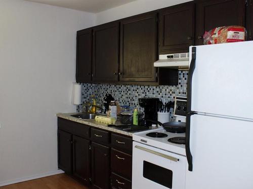 303 River Ave, Rainy River, ON - Indoor Photo Showing Kitchen