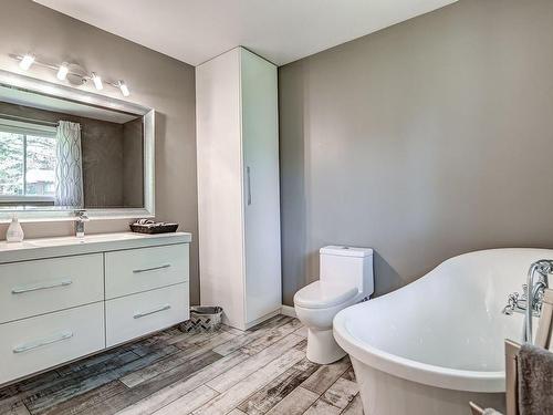 Salle de bains - 610 Av. Miron, Chertsey, QC - Indoor Photo Showing Bathroom