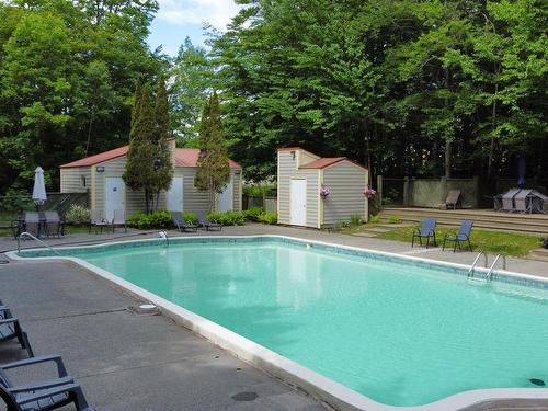 Piscine - 5010 Ch. Du Parc, Orford, QC - Outdoor With In Ground Pool With Backyard