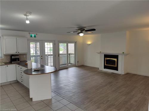 227 Louisa Street, Kitchener, ON - Indoor With Fireplace