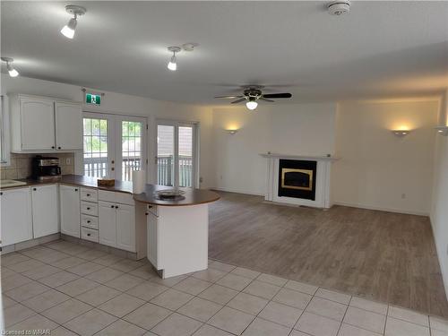 227 Louisa Street, Kitchener, ON - Indoor Photo Showing Kitchen With Fireplace