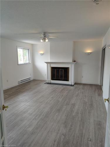 227 Louisa Street, Kitchener, ON - Indoor Photo Showing Living Room With Fireplace