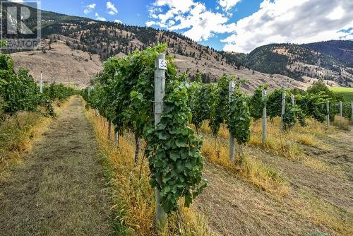 1143 Hwy 3, Cawston, BC 