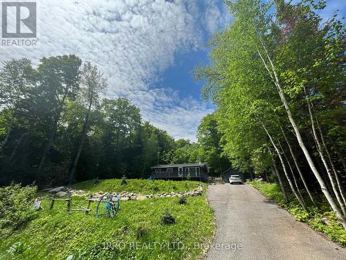 1093 Grace River Rd, Highlands East, ON - Outdoor With View