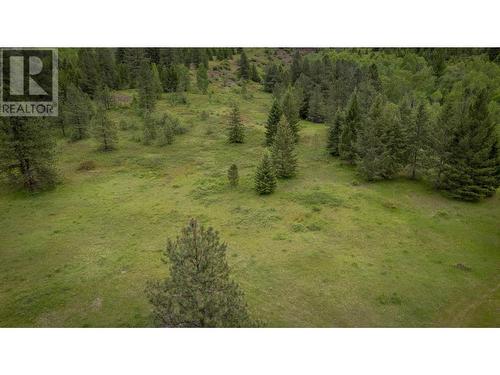 8870 Granby  Road, Grand Forks, BC - Outdoor With View