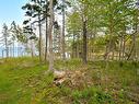 Lot 2 Macleod Pond Road, Roberta, NS 