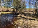 -- Wells Brook Road, Black River Bridge, NB 