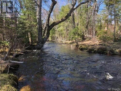 -- Wells Brook Road, Black River Bridge, NB 