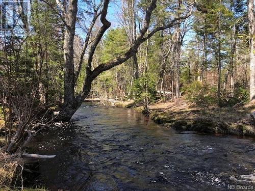 -- Wells Brook Road, Black River Bridge, NB 