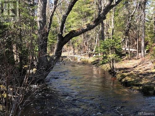 -- Wells Brook Road, Black River Bridge, NB 