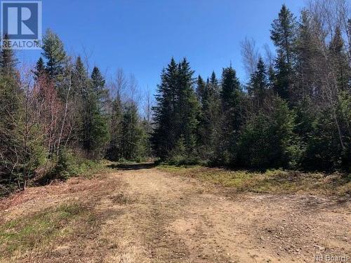 -- Wells Brook Road, Black River Bridge, NB 