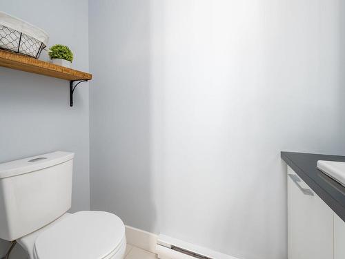 Salle d'eau - 42 Rue Des Alpes, Sainte-Brigitte-De-Laval, QC - Indoor Photo Showing Bathroom