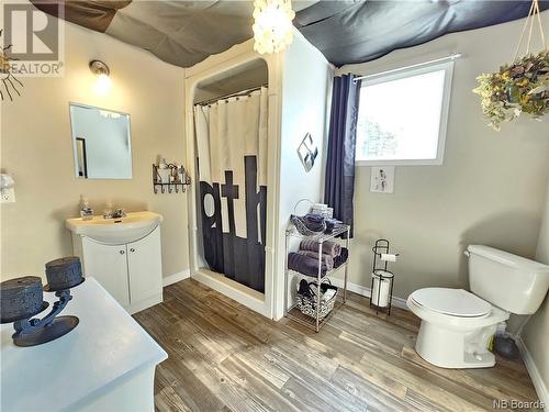 37 Guerrette Street, Sainte-Anne-De-Madawaska, NB - Indoor Photo Showing Bathroom