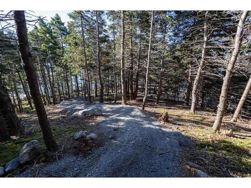 51 Windy Cove Lane, St John'S, NL 