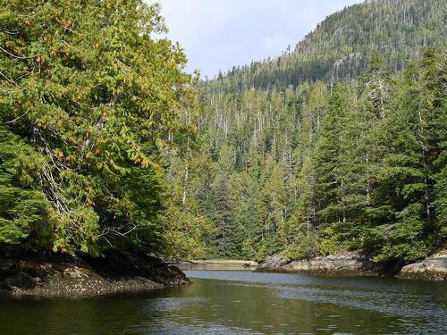 00 Tlupana Inlet, Gold River, BC 