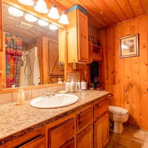 6542 Morrissey Road, Elk Valley, BC - Indoor Photo Showing Bathroom