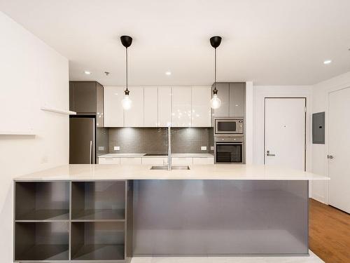 Cuisine - 508-1500 Rue Des Bassins, Montréal (Le Sud-Ouest), QC - Indoor Photo Showing Kitchen With Upgraded Kitchen