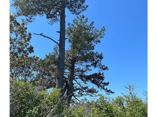 0 Little Shell Island, Gulf Islands, BC 