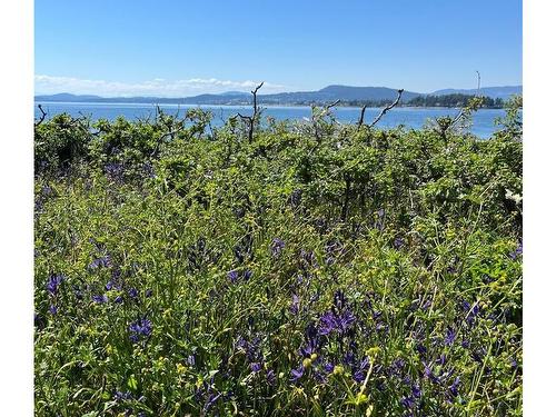 0 Little Shell Island, Gulf Islands, BC 