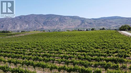 4401 107Th Street, Osoyoos, BC - Outdoor With View