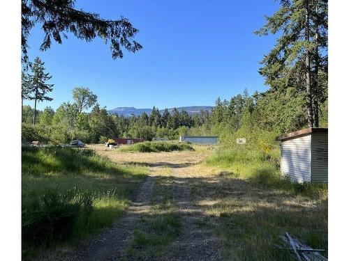 1586 Mckibbon Rd North, Errington, BC - Outdoor With View